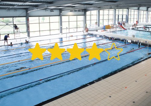 Retour sur l'enquête de satisfaction 2025